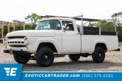 1957 Ford F100