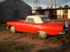 Thumbnail Photo 1 for 1957 Ford Thunderbird