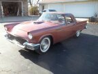 Thumbnail Photo 1 for 1957 Ford Thunderbird
