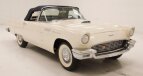Thumbnail Photo 6 for 1957 Ford Thunderbird