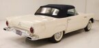 Thumbnail Photo 4 for 1957 Ford Thunderbird