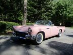 Thumbnail Photo 5 for 1957 Ford Thunderbird