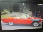 Thumbnail Photo 3 for 1957 Ford Thunderbird