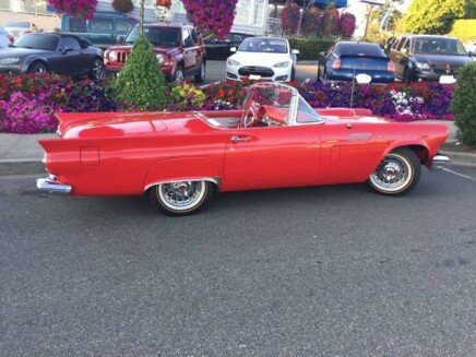 Photo 1 for 1957 Ford Thunderbird