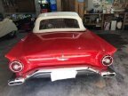 Thumbnail Photo 1 for 1957 Ford Thunderbird
