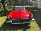 Thumbnail Photo 3 for 1957 Ford Thunderbird