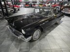 Thumbnail Photo 1 for 1957 Ford Thunderbird