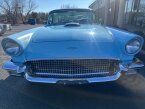 Thumbnail Photo 1 for 1957 Ford Thunderbird