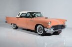 Thumbnail Photo 1 for 1957 Ford Thunderbird