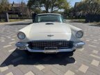 Thumbnail Photo 1 for 1957 Ford Thunderbird