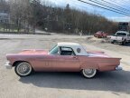 Thumbnail Photo 2 for 1957 Ford Thunderbird