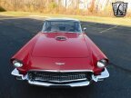 Thumbnail Photo 5 for 1957 Ford Thunderbird