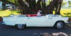 Thumbnail Photo 1 for 1957 Ford Thunderbird for Sale by Owner