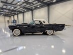 Thumbnail Photo 1 for 1957 Ford Thunderbird