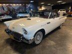 Thumbnail Photo 1 for 1957 Ford Thunderbird