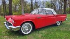 Thumbnail Photo 1 for 1957 Ford Thunderbird