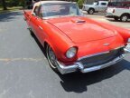 Thumbnail Photo 1 for 1957 Ford Thunderbird