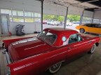 Thumbnail Photo 5 for 1957 Ford Thunderbird