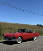 Thumbnail Photo 4 for 1957 Ford Thunderbird