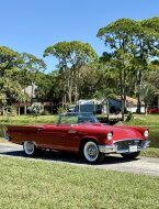 Thumbnail Photo 1 for 1957 Ford Thunderbird