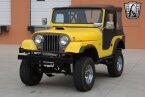 Thumbnail Photo 3 for 1957 Willys CJ-5
