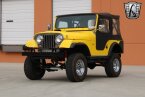 Thumbnail Photo 2 for 1957 Willys CJ-5