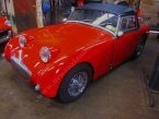 Thumbnail Photo 5 for 1958 Austin-Healey Sprite