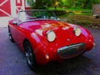 Thumbnail Photo 1 for 1958 Austin-Healey Sprite
