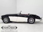 Thumbnail Photo 3 for 1959 Austin-Healey 100-6