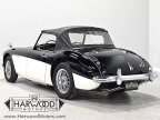 Thumbnail Photo 6 for 1959 Austin-Healey 100-6