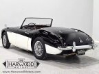 Thumbnail Photo 5 for 1959 Austin-Healey 100-6
