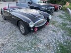 Thumbnail Photo 3 for 1959 Austin-Healey 100-6