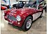 1959 Austin-Healey 100-6
