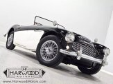 1959 Austin-Healey 100-6