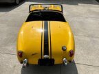 Thumbnail Photo 2 for 1959 Austin-Healey Sprite
