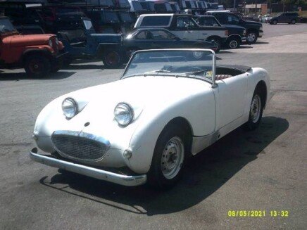 Photo 1 for 1959 Austin-Healey Sprite