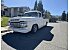 1959 Ford F100