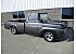 1959 Ford F100