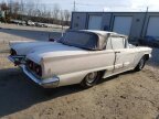 Thumbnail Photo 3 for 1959 Ford Thunderbird