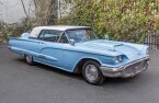 Thumbnail Photo 1 for 1959 Ford Thunderbird