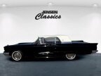 Thumbnail Photo 4 for 1959 Ford Thunderbird