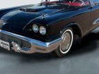 Thumbnail Photo 1 for 1959 Ford Thunderbird