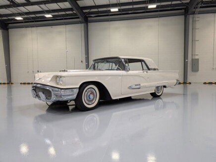 Photo 1 for 1959 Ford Thunderbird