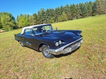 1959 Ford Thunderbird