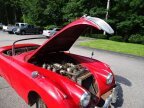 Thumbnail Photo 6 for 1959 Jaguar XK 150