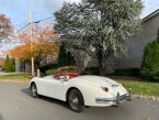 Thumbnail Photo 5 for 1959 Jaguar XK 150