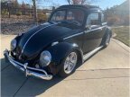 Thumbnail Photo 1 for 1959 Volkswagen Beetle