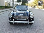 Thumbnail Photo 2 for 1960 Austin-Healey 3000