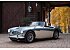 1960 Austin-Healey 3000