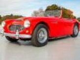 1960 Austin-Healey 3000
